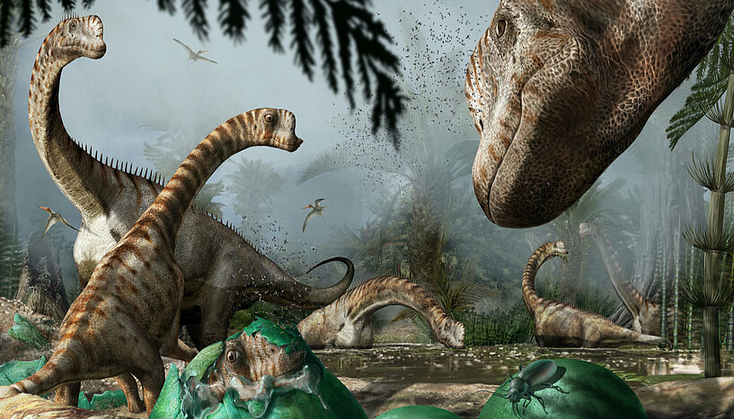 Fig. 1: Some adult individuals watch over the newly-hatched Europasaurus chicks which are leaving the nest to join their herd. Commissioned artwork by Davide Bonadonna.