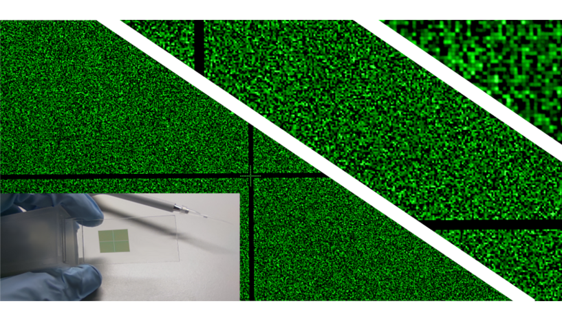 Ein hochdichter RNA-Mikrochip in Originalgröße hat etwa die Größe eines Fingernagels und kann bis zu 780 000 einzigartige RNA-Sequenzen enthalten, die jeweils eine Fläche von etwa 14 x 14 μm² einnehmen. Das Vorhandensein und die Qualität der RNA kann durch Hinzufügen eines komplementären DNA-Strangs mit einer grün fluoreszierenden Markierung überprüft werden.