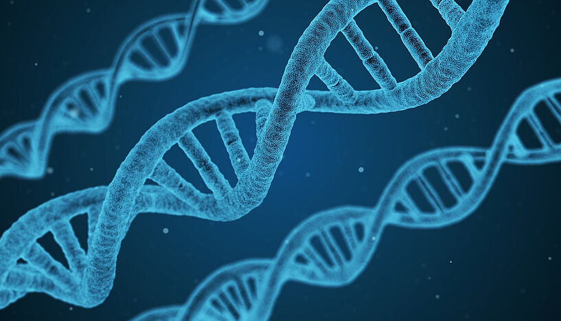 DNA-Code grafisch dargestellt