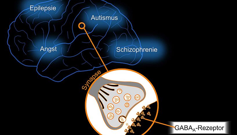 Schematische Lage der GABAA-Rezeptoren