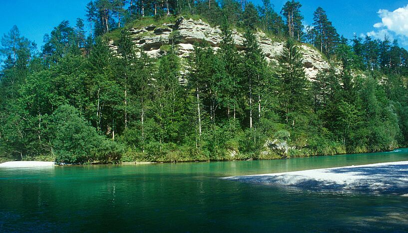 Flusslandschaft an der Steyr in Oberösterreich