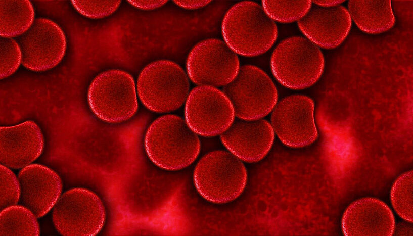 Grafische Darstellung von roten Blutkörperchen