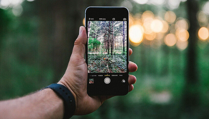 I Phone im Wald
