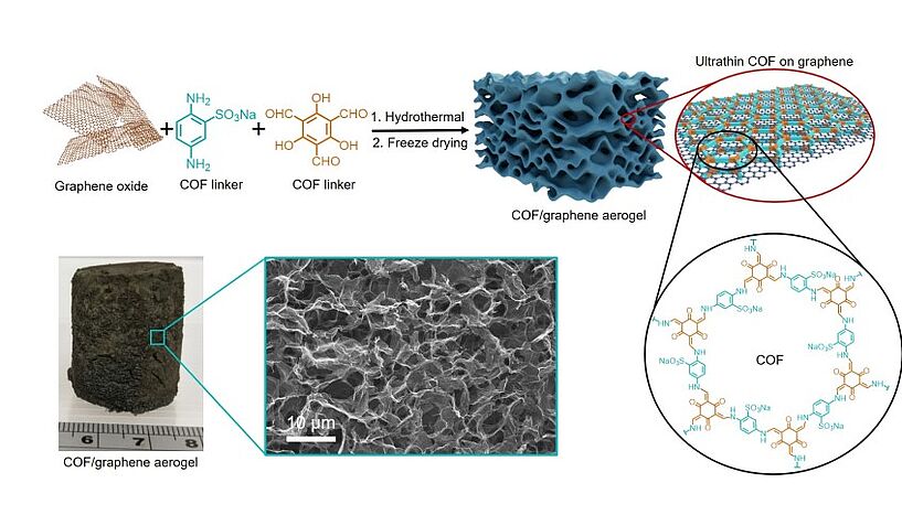 Abb. 2: (a) The synthesis procedure for ultrathin COF/graphene aerogel. An ultrathin COF containing sulfonate ions with a thickness of 2 nm anchored on graphene. (b) Photograph and SEM image of ultrathin COF/graphene aerogel. The aerogel with an ultralow density of  7.1 mg cm-3 showing macroporous channels. (© Changxia Li, Freddy Kleitz et al.)