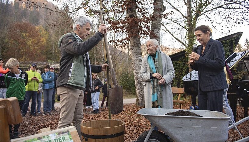 Jane Goodall und Sonia Kleindorfer beim Pflanzen eines Baums
