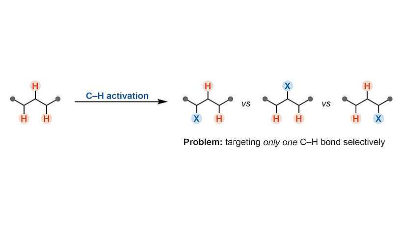 Fig. 1: Graphic of C–H activation 
