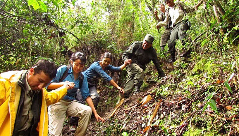 Rangers and researchers in the Madidi national park in Bolivia.
